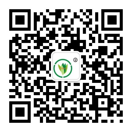 &#27867;&#20122;&#30005;&#31454;&#40;&#20013;&#22269;&#41;&#23448;&#26041;&#32593;&#31449;